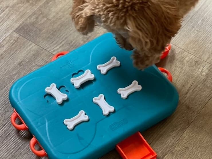 Interactive Puzzle Toy for Dogs